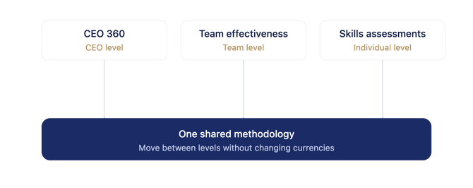 leadership_diagnostics_levels_pdf_match